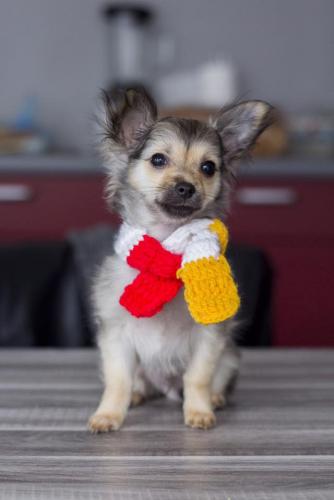 post-36899-0-90179800-1465461427_thumb.j