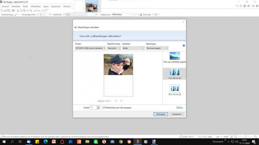 Schermafbeelding 2020-11-17 124802.jpg