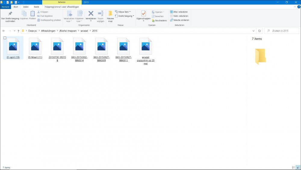 Knipsevoorbeeld foto eigenschap.JPG